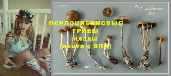 эйфоретик Алексеевка