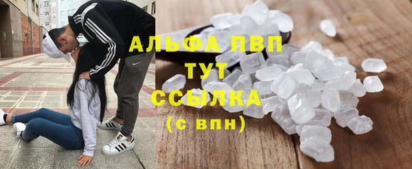 таблы Надым