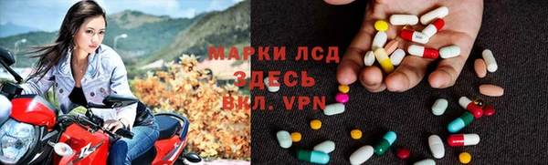 гидра Алексин
