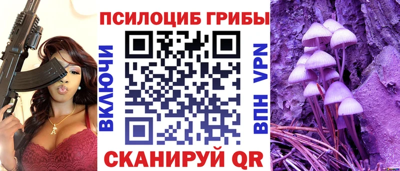 дарнет шоп  Нижний Тагил  Галлюциногенные грибы прущие грибы 